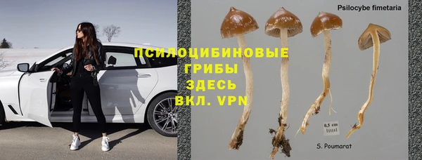 герыч Аркадак