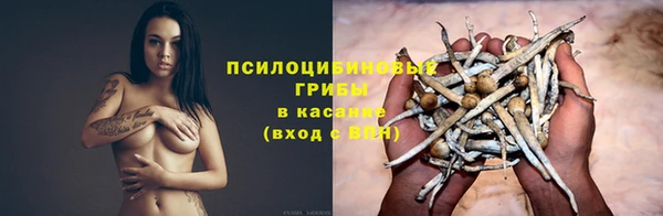 СК Арсеньев