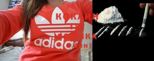 СК Арсеньев