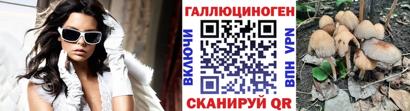 Псилоцибиновые грибы Psilocybine cubensis ссылка на мегу рабочий сайт Покров наркота